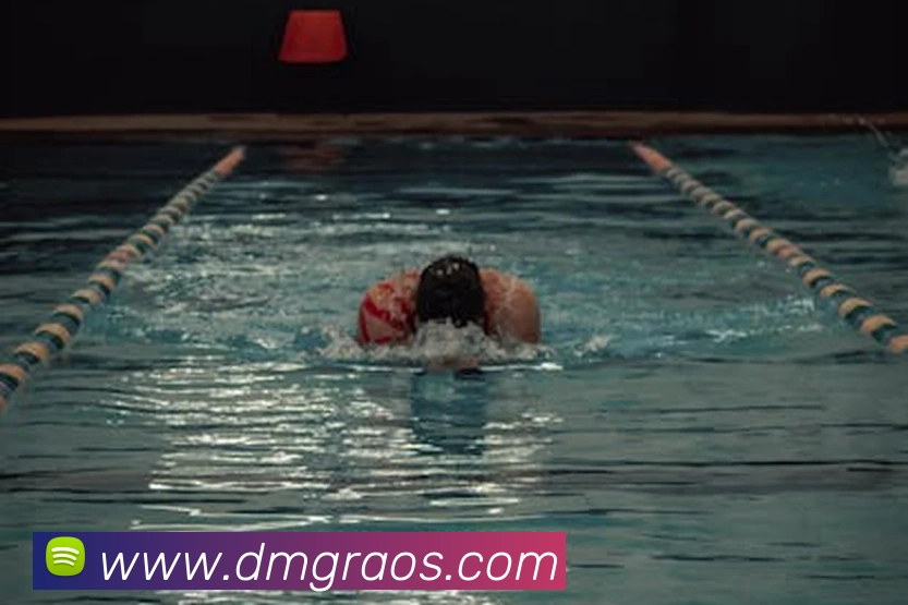 大满贯平台平台生态图